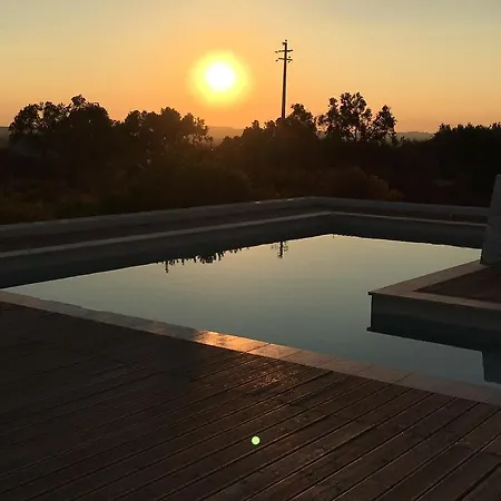 فيلة Pietra Pool Felline